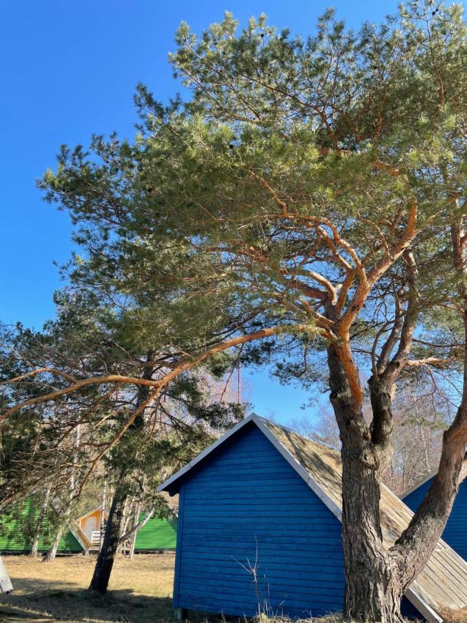 Villa Energetikas • Nameliai Prie Juros Šventoji Exterior foto
