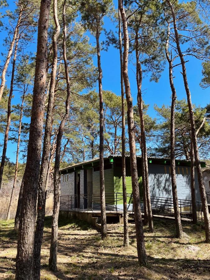 Villa Energetikas • Nameliai Prie Juros Šventoji Exterior foto